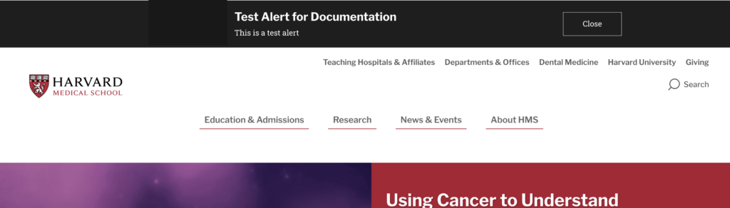 Notification alert type.