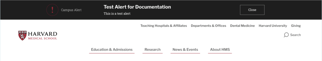 Top of page alert type.